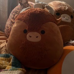 Dunkie squishmallow